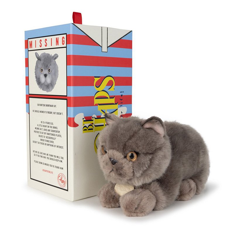 BTC - Freddy the British Shorthair in gift box - 20 cm -