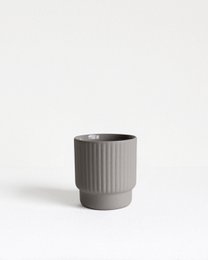 Taza de café expreso Columna | gris claro