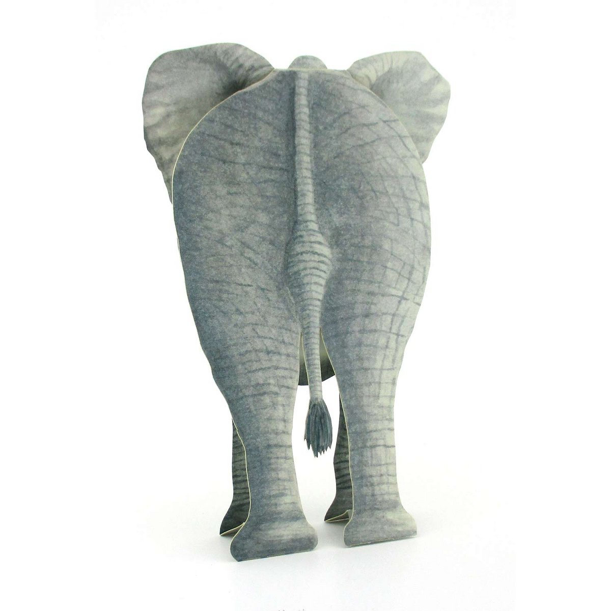 3D-Tierkarte Elefant mit Blumenstrauß