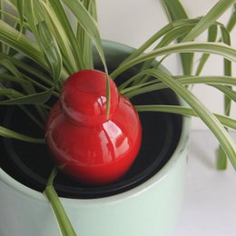 Dekorierte Gips -Ollas -Box