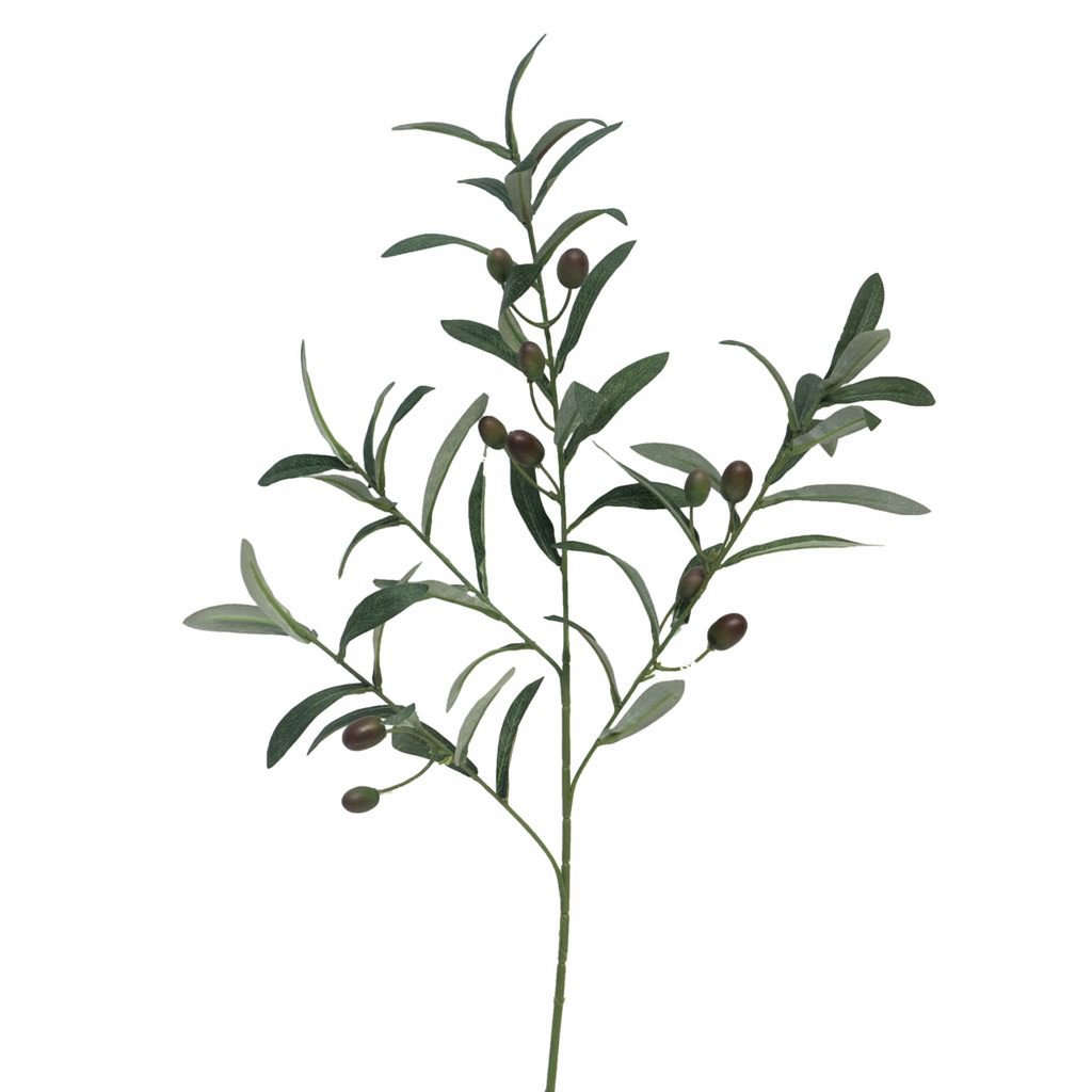 Olivenzweig - Grün - 70cm
