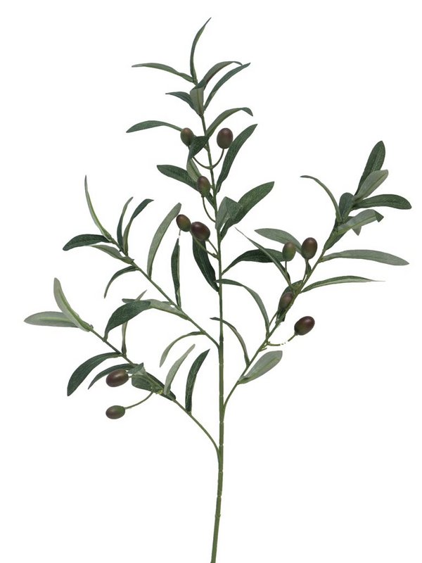 Olivenzweig - Grün - 70cm