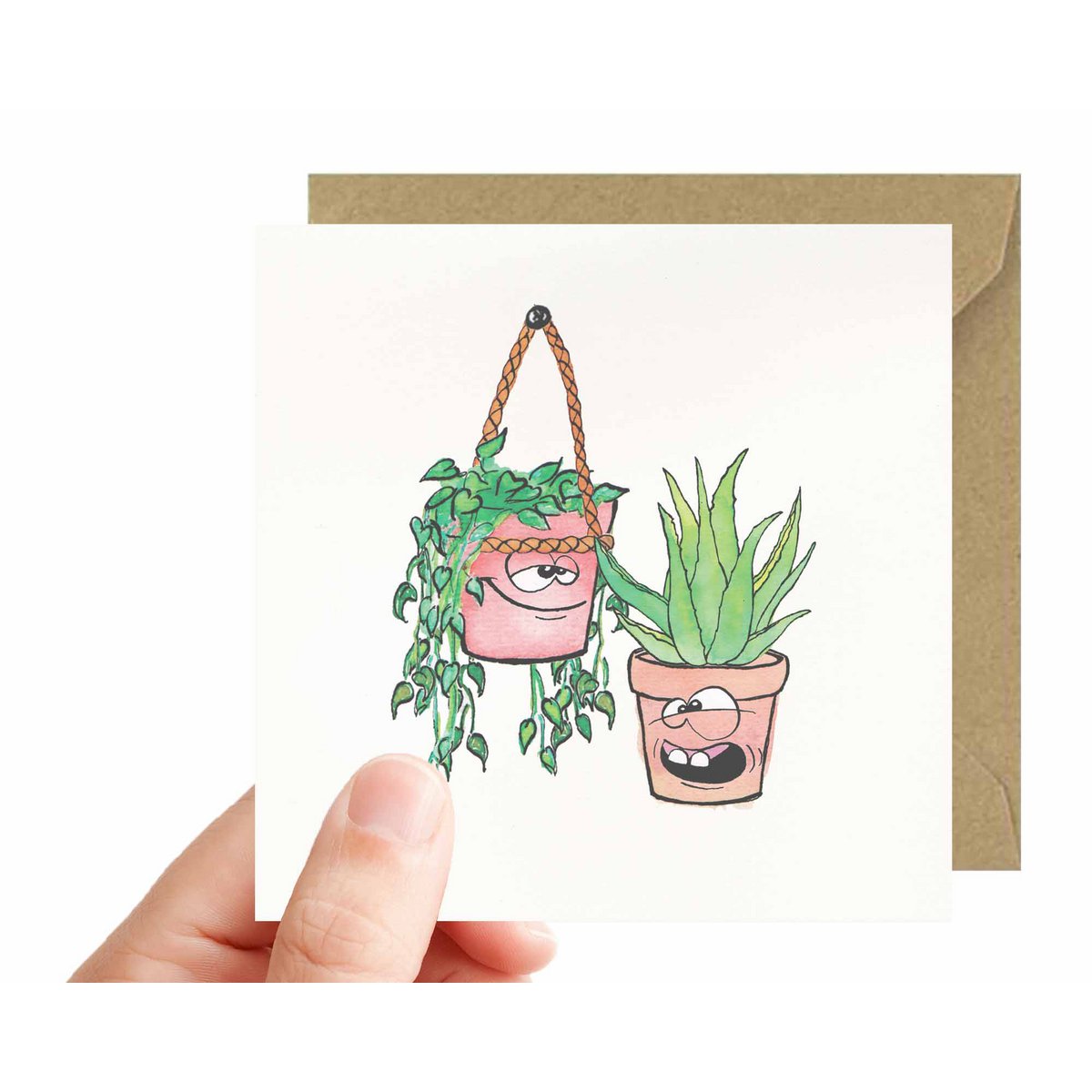 M0025 - Aloe Vera
