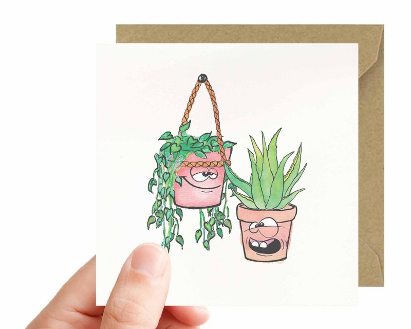M0025 - Aloes