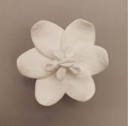 Oriental Jasmine Diffuser - White