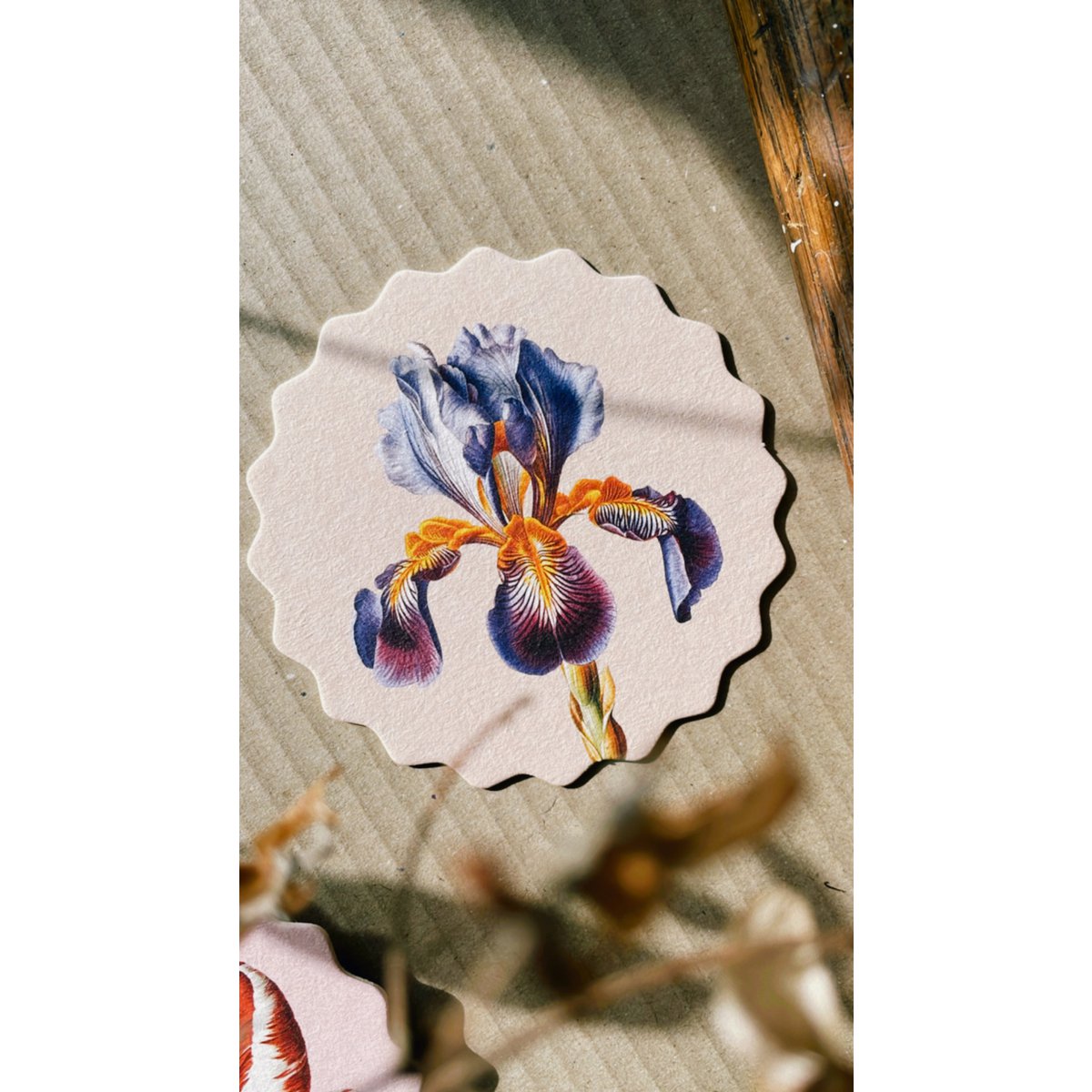 Sous-verres 10 motifs fleurs - 12 sets