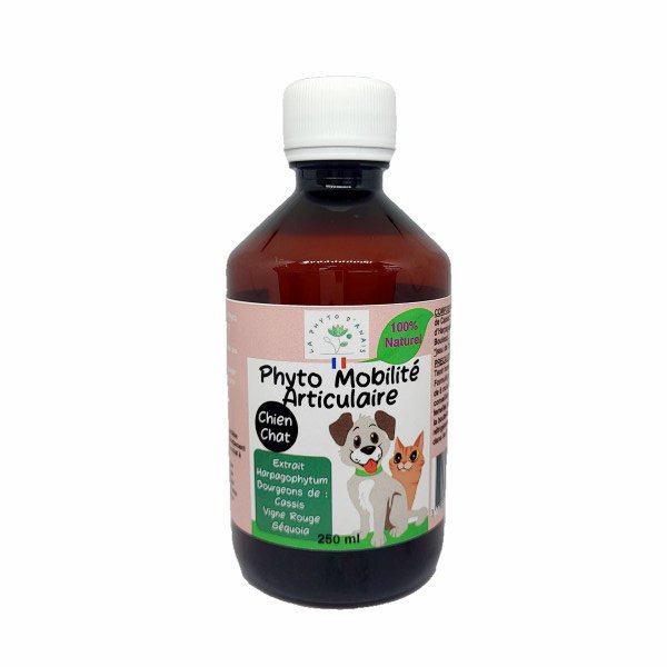 Phyto mobilité articulaire pour chiens et chats