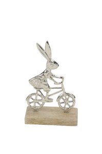Hase on bike
