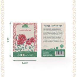 Mohnblume