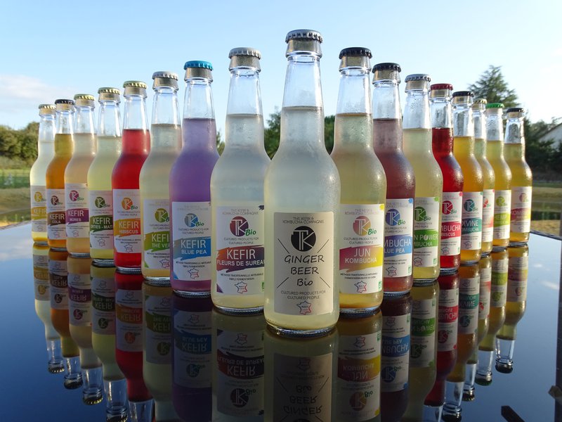 Kombucha Natur Bio 330ml
