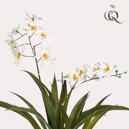 Kunstig plante - Orkidé - Hvid - 45cm