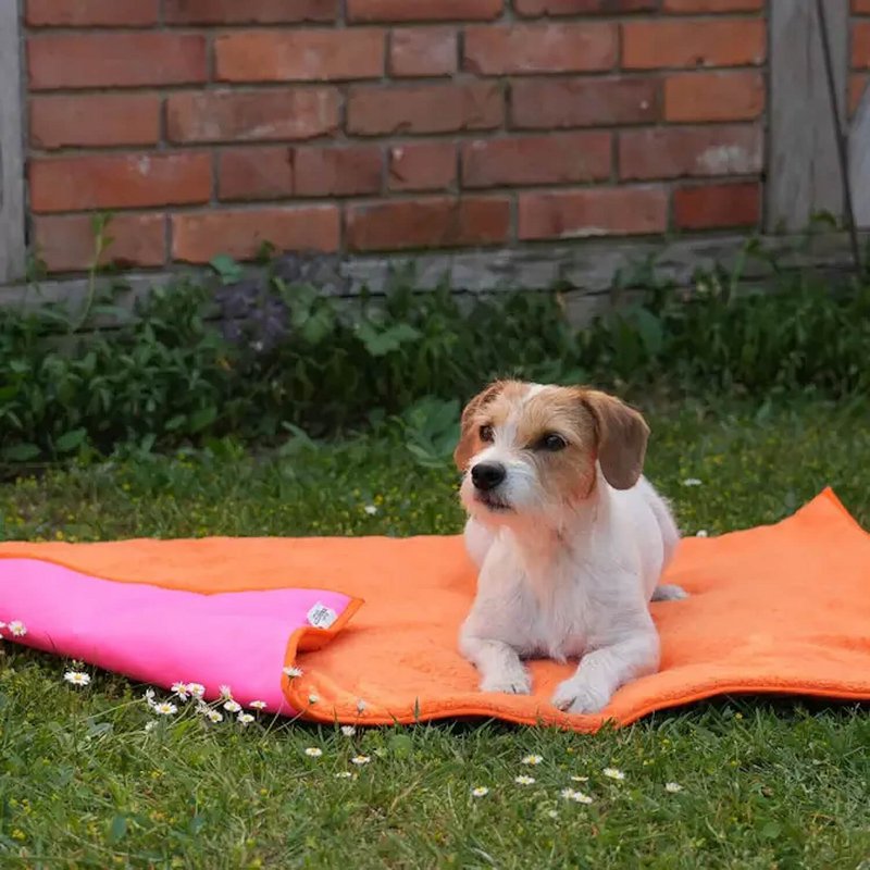 Reisematte Travel Mat Picknicker blau orange