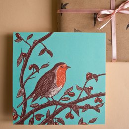 Postkort | robin