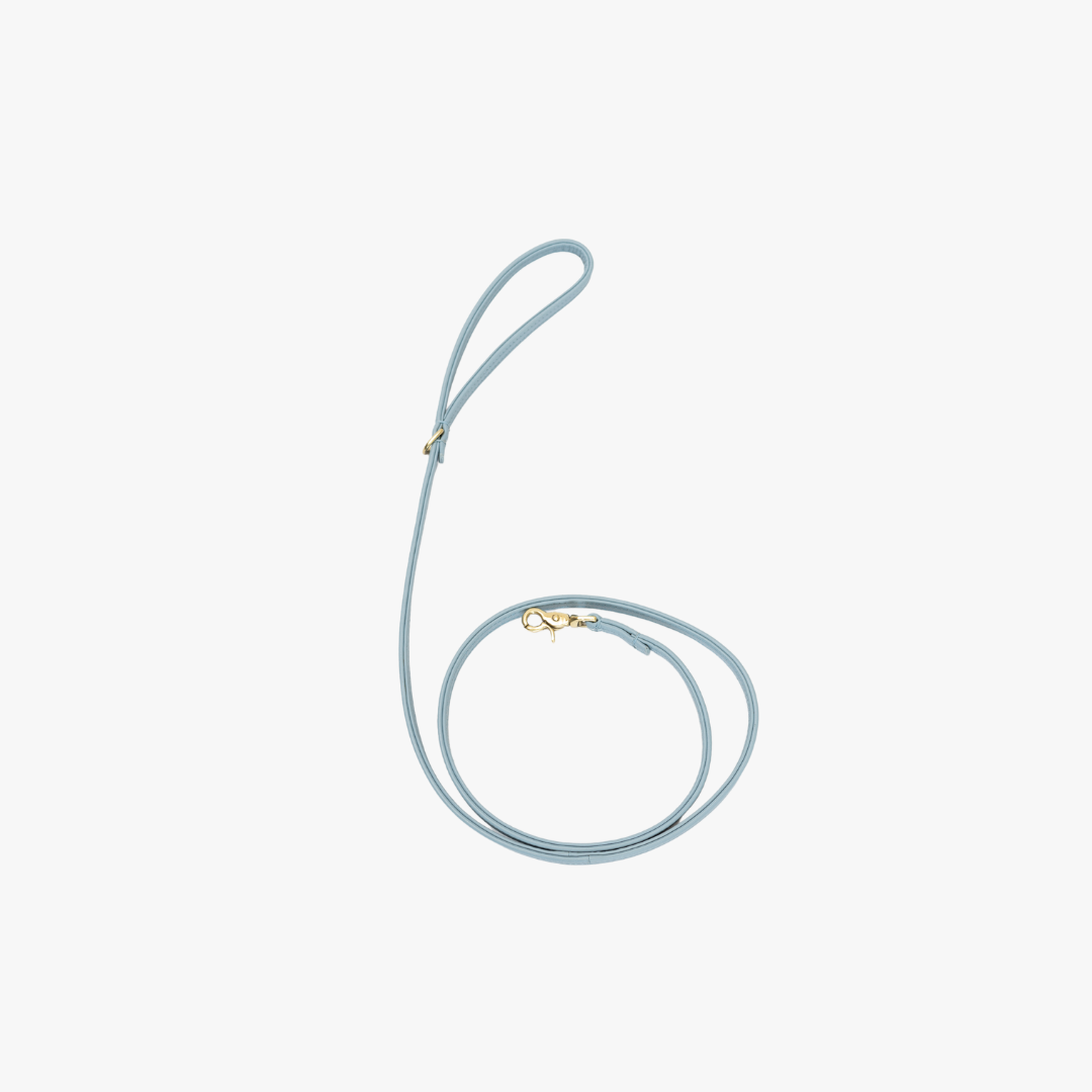 Hundeleine mit Messingfinish – Klassisch – Hellblau