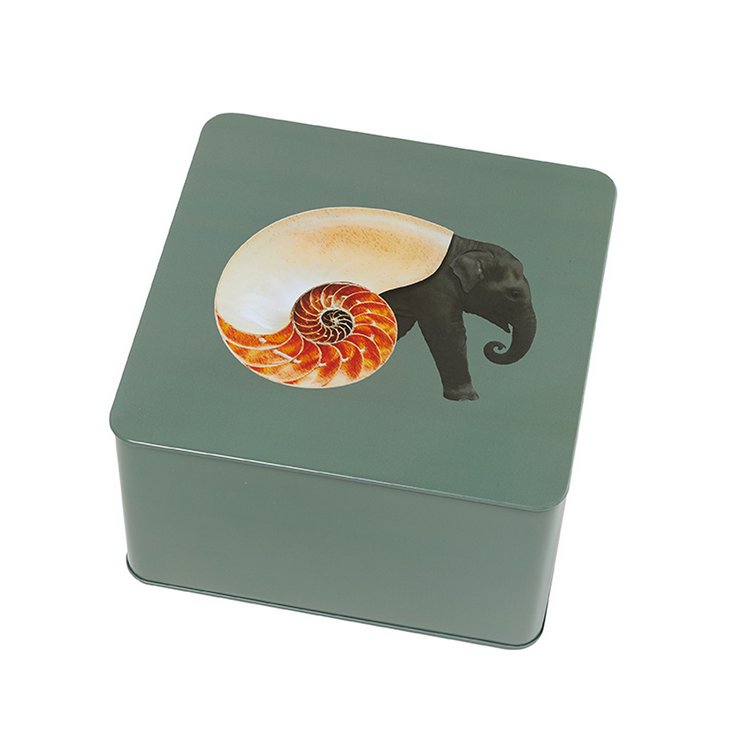 Shellephant square metal tin box