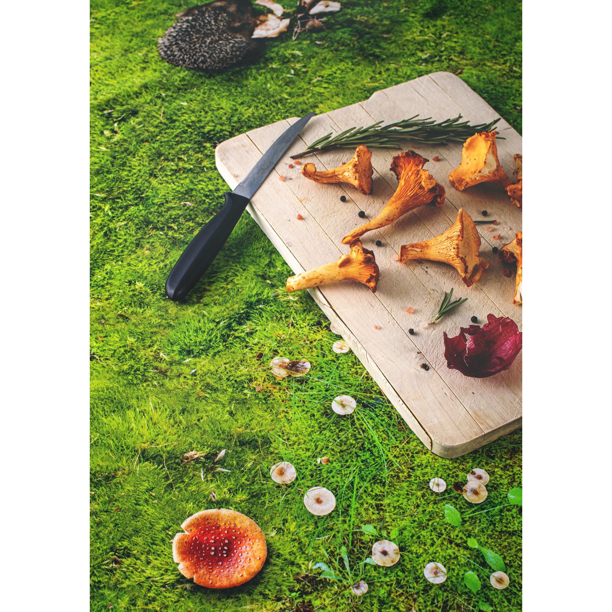 MOSS - tablecloth