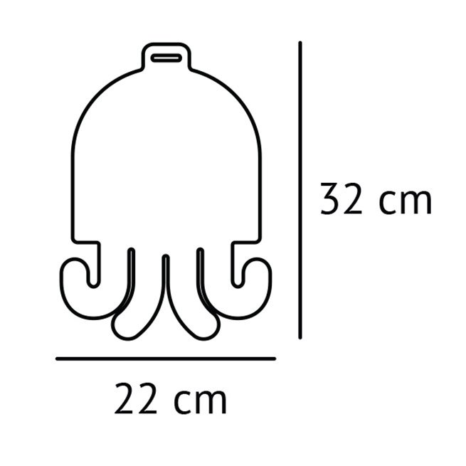 Mirror octopus