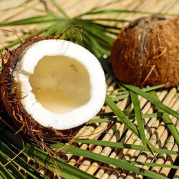 Coconut Jojoba Oil