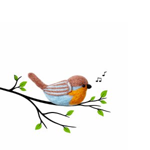 Bird Red Robin (Robin)