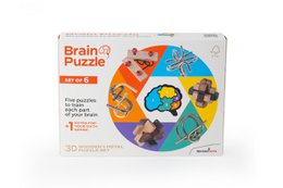 Brain Puzzles - set of 6