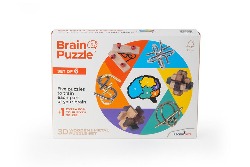 Brain Puzzles - set of 6