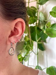 Resin/Stainless Steel Earrings silver with real 'Gypsophila'