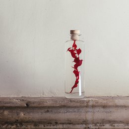 H-21cm red