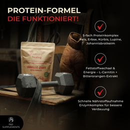 P&S TILLÆG vegansk pulver vanilje kanel 500g