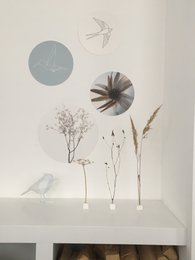 Mur cercle colibri mer bleu