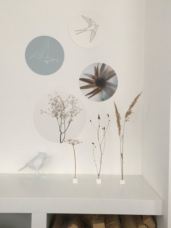 Wall circle hummingbird sea blue