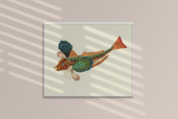 Japanese Gurnard