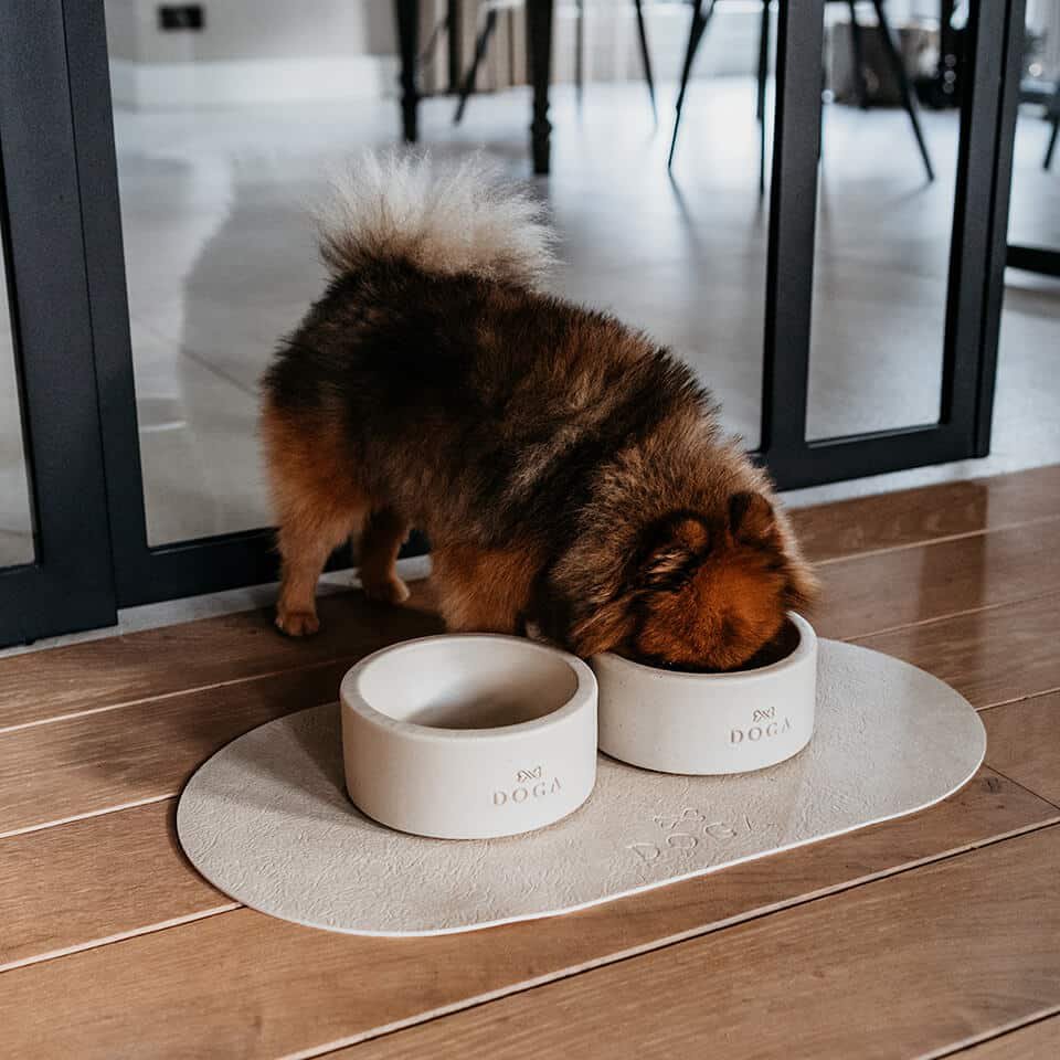 Plato de comida Mantel individual DOGA Stone blanco