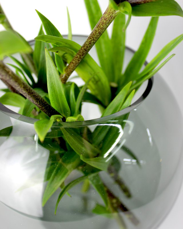 Vase glas rund grå glasvase håndlavet kuglevase lav