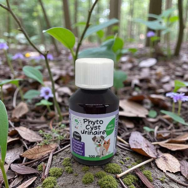 Phyto Harnpflege für Hunde und Katzen