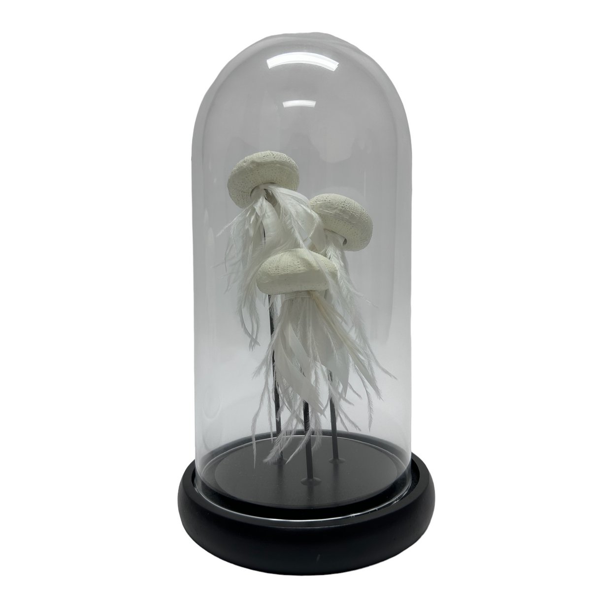 JELLYFISH - SORT(YF-03)