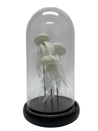 JELLYFISH - BLACK(YF-03)