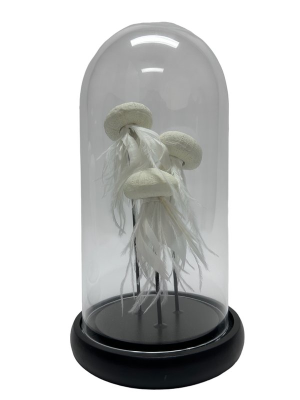 JELLYFISH - BLACK(YF-03)