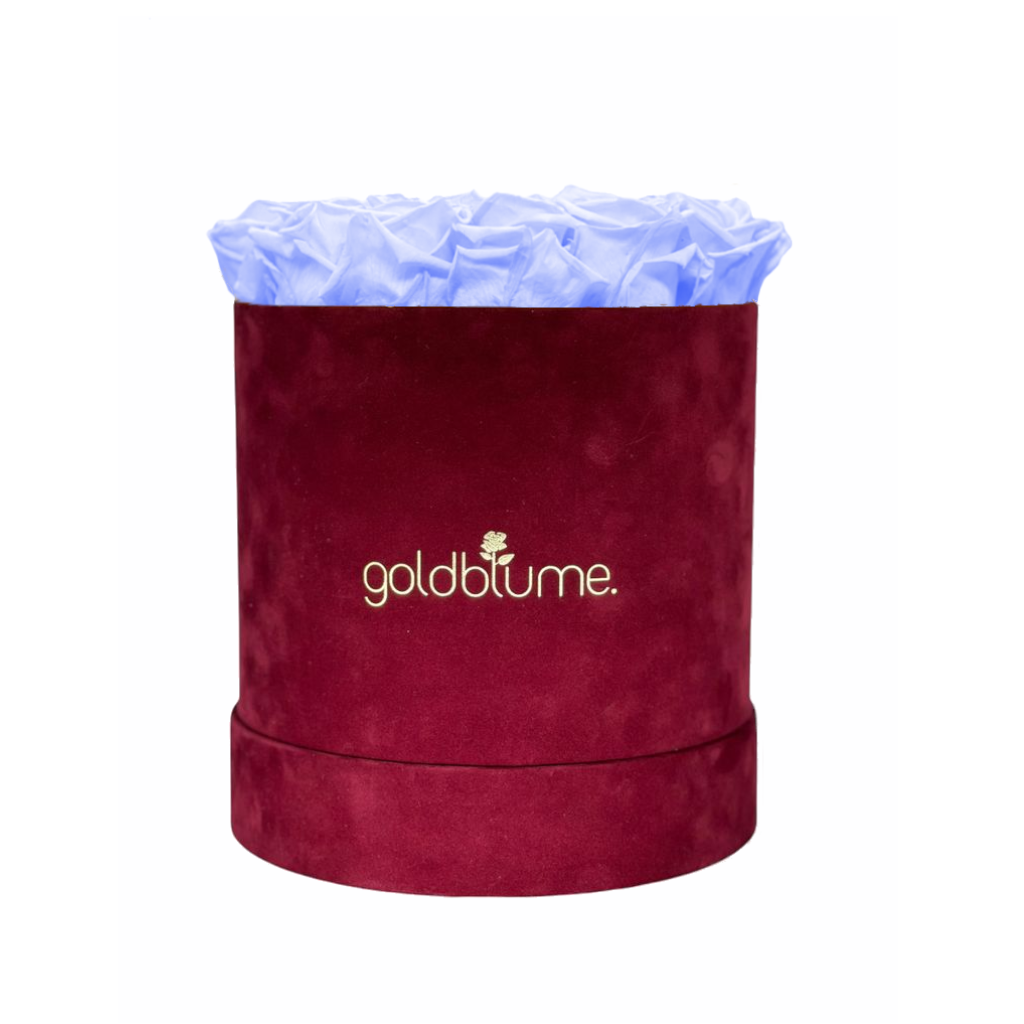Collection Velours Bordeaux