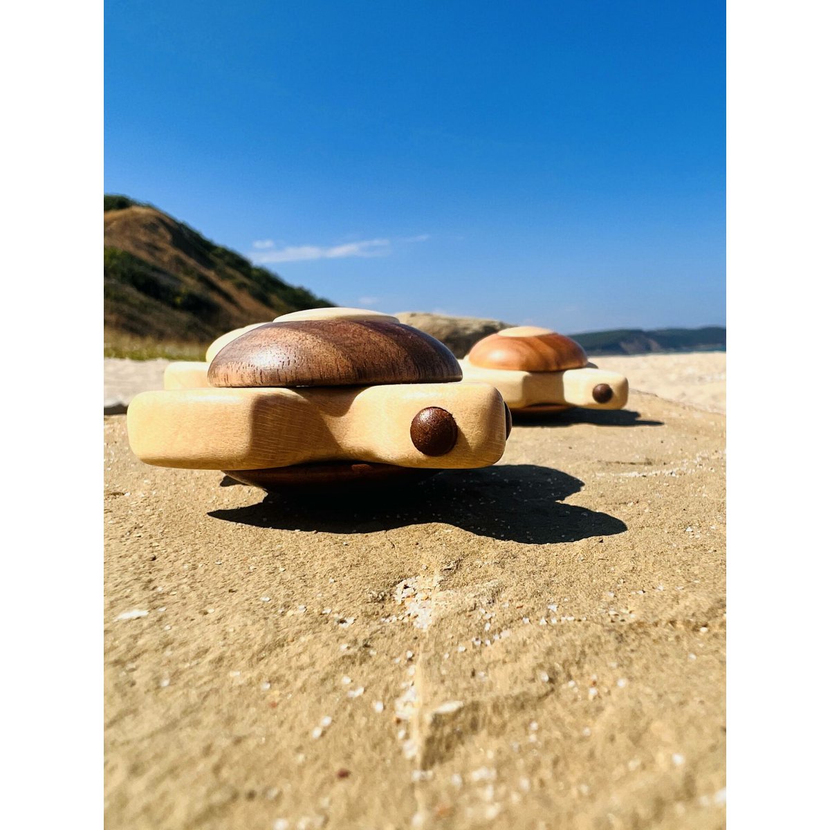 Jouet Tortue de Mer - Tortuga en Bois