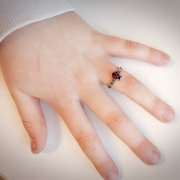 KR63 Lady Bug Glänzender Stahl