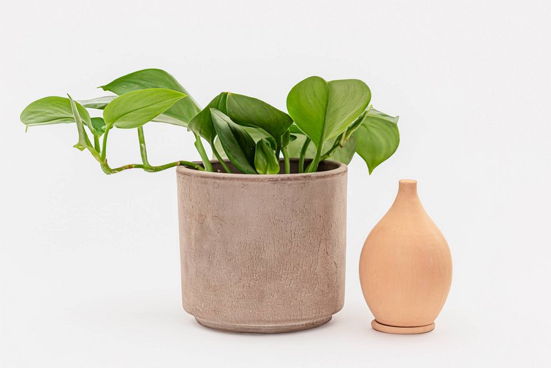Vaso autoirrigante Olla - Lutoya Small Pink - 20 cl