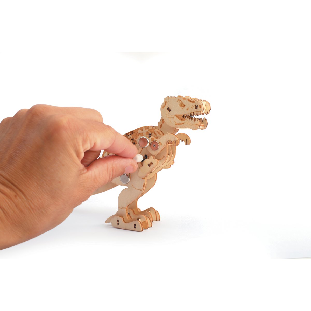 HOUTEN MODEL 3D MECHANISCHE T-REX