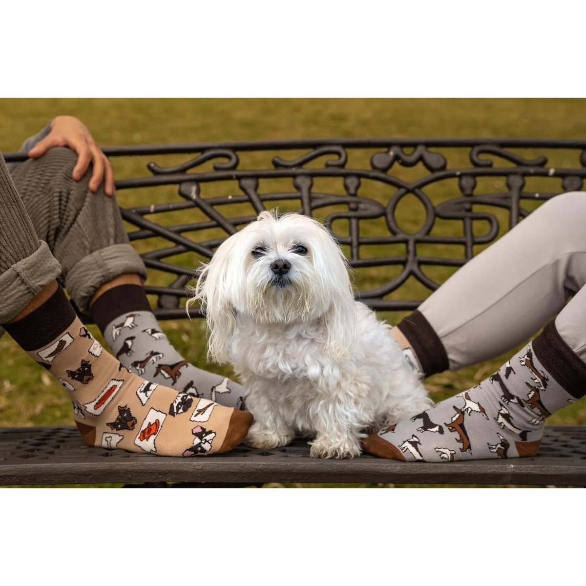 Casual sokken - honden