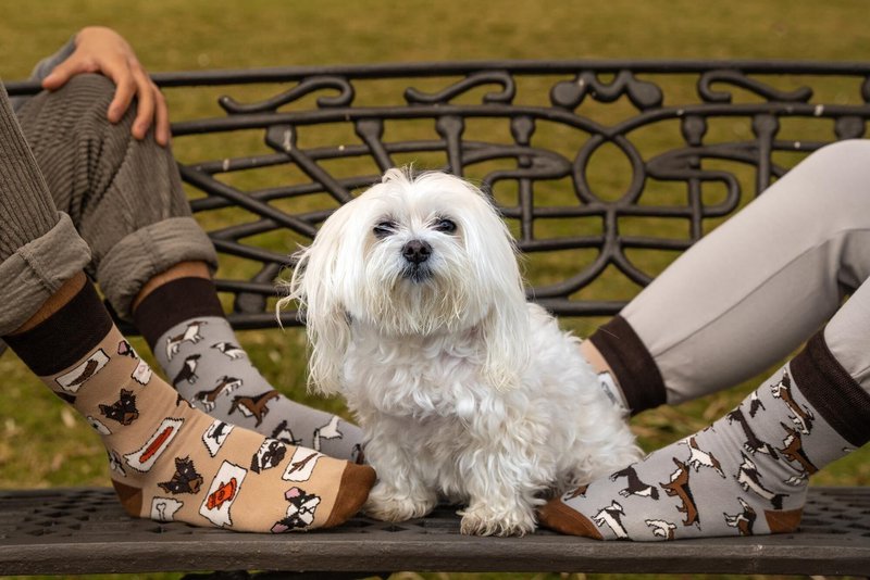 Casual sokken - honden