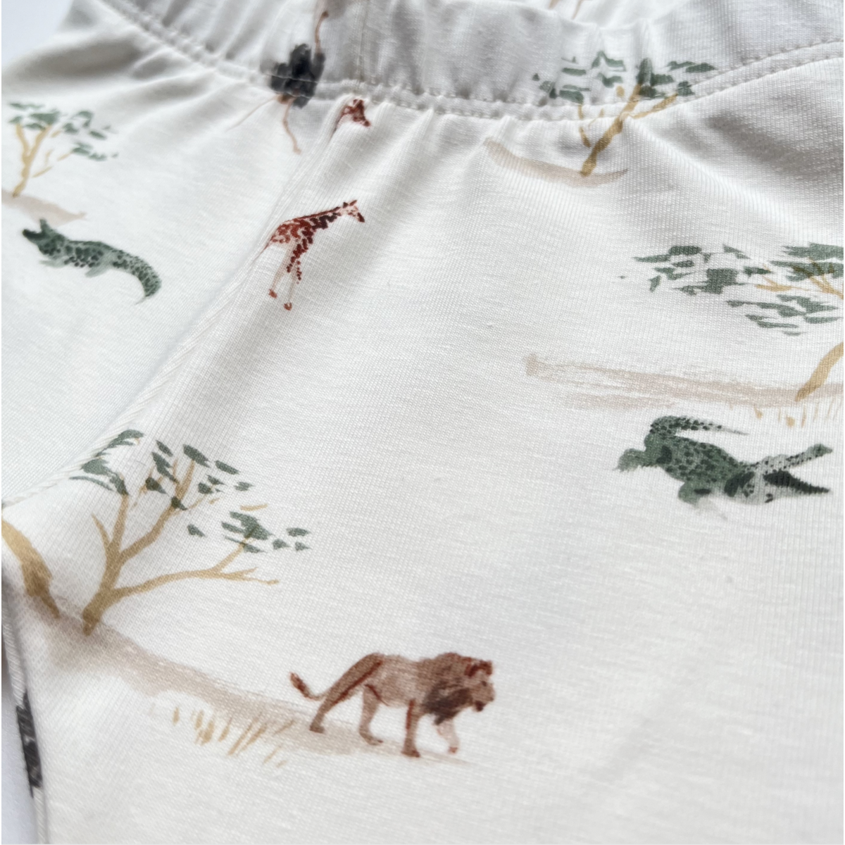 bragas | safari