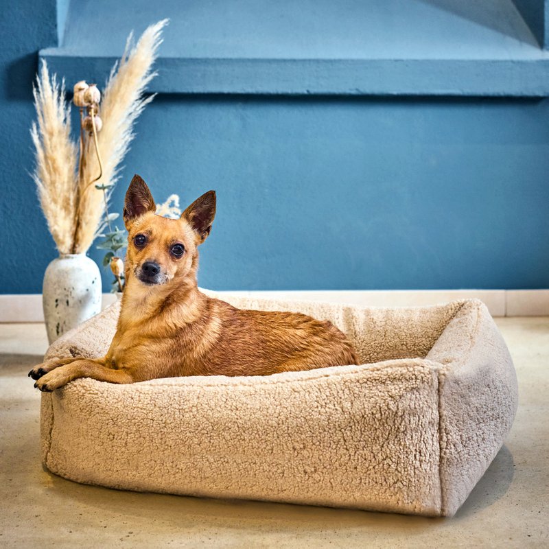 TEDDY I KLASSISK HUNDEBETT