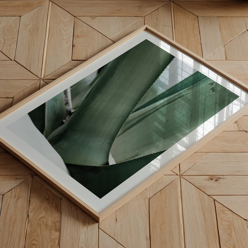 Poster: Agave