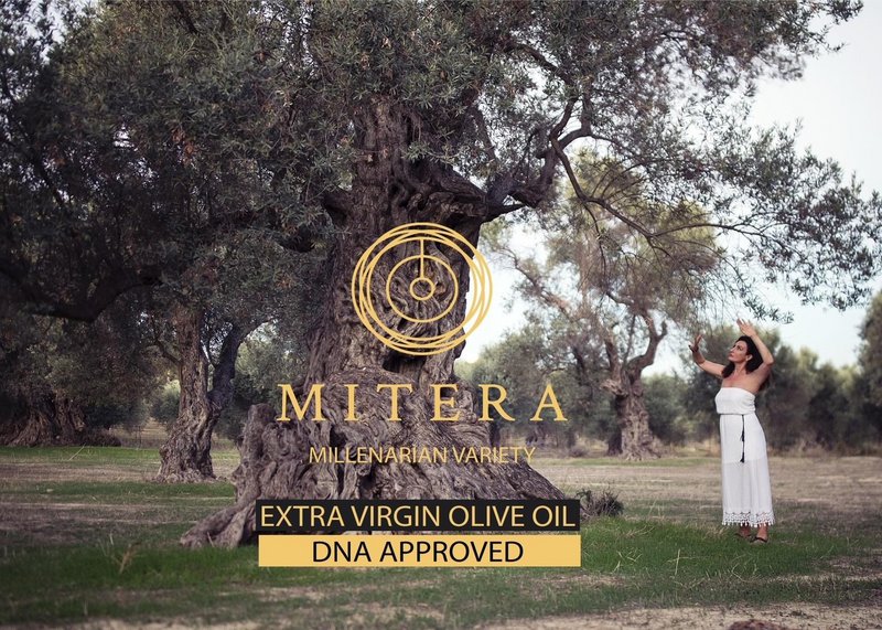 MOR EVOO Datter 500ml