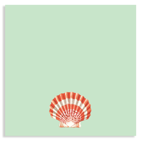 Notepad shell 10x10cm