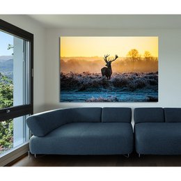 Acrylic glass billede - Summer Bleeding